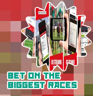 Race betting app