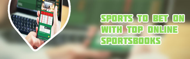 Top online sports betting websites